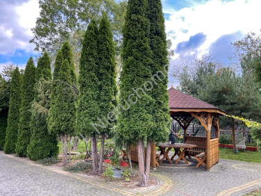 Działka usługowa Natolin