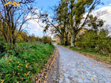 Działka budowlana Sztumskie Pole