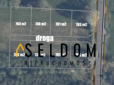 Działka budowlana LICHEŃ STARY