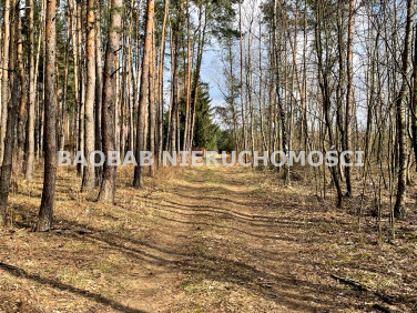 Działka siedliskowa sprzedam