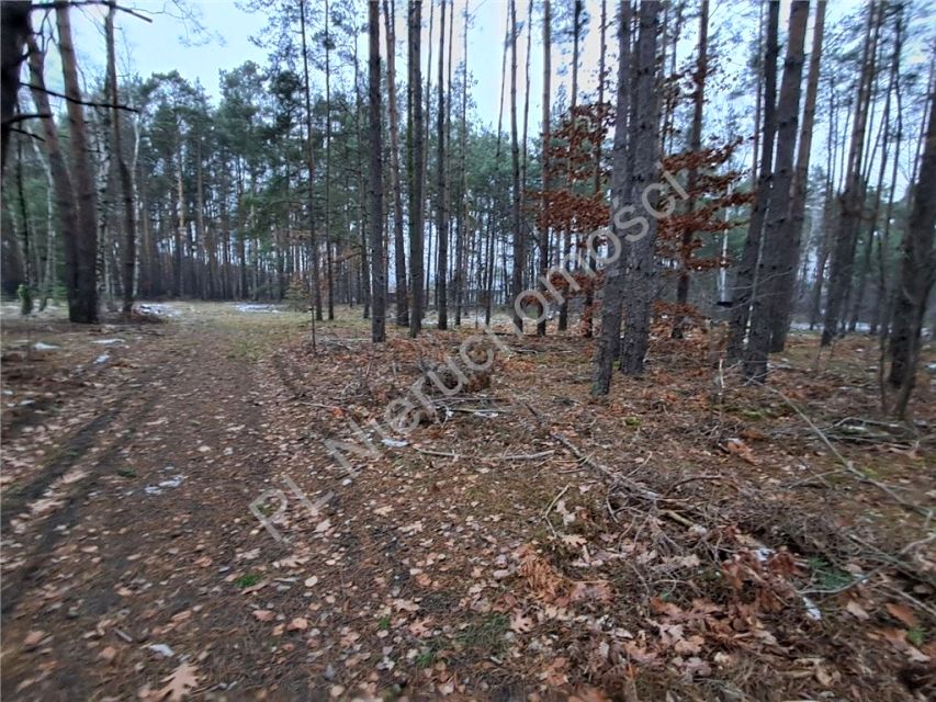 Działka budowlana Marynin