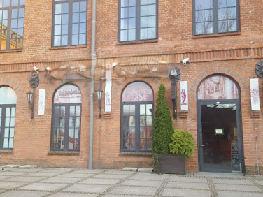 Lokal Żyrardów wynajem