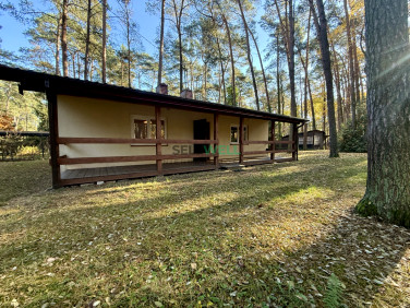 Działka budowlana Sokolniki-Las