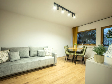 Mieszkanie Łódź sprzedaż