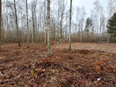 Działka budowlana Adamowizna