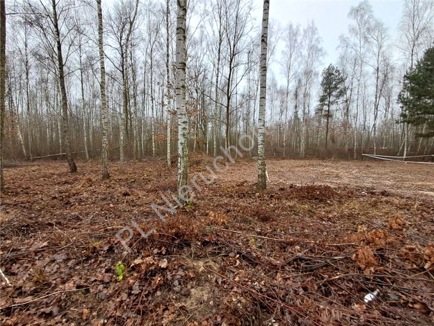 Działka budowlana Adamowizna