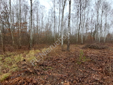 Działka budowlana Adamowizna