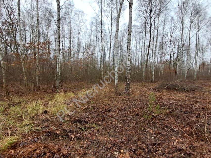 Działka budowlana Adamowizna