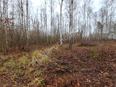 Działka budowlana sprzedam