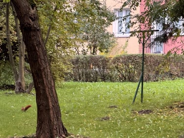 Mieszkanie Kraków sprzedaż