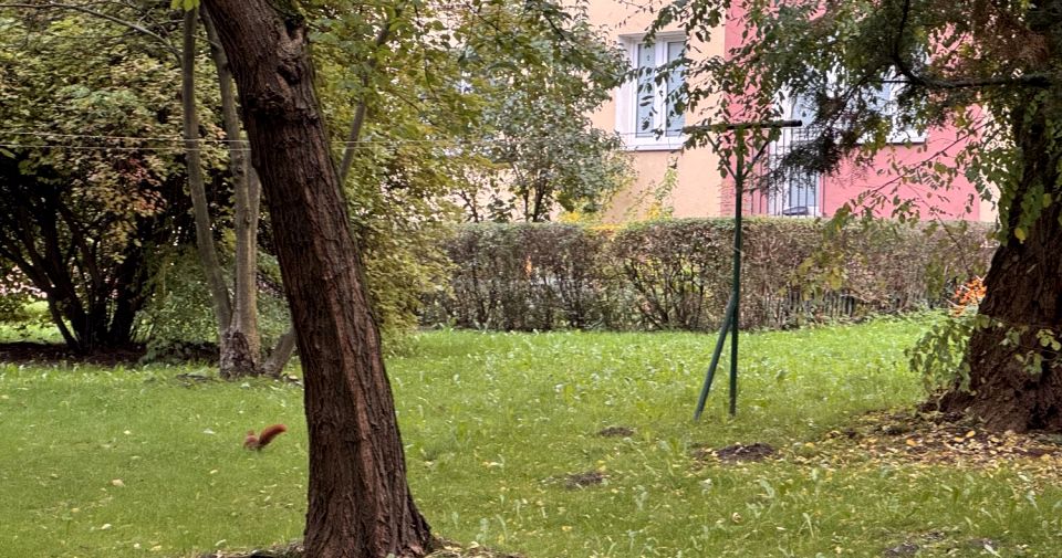 Mieszkanie Kraków sprzedaż