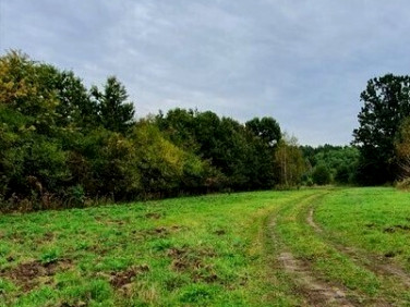 Działka nad jeziorem