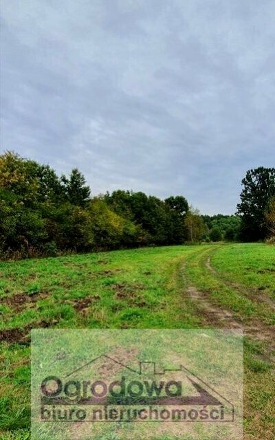 Działka nad jeziorem