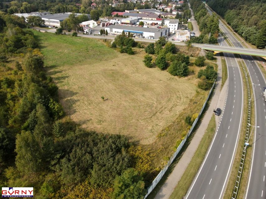 Zdjęcie 3