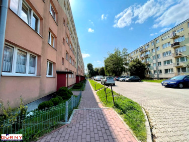 Mieszkanie Piotrków Trybunalski