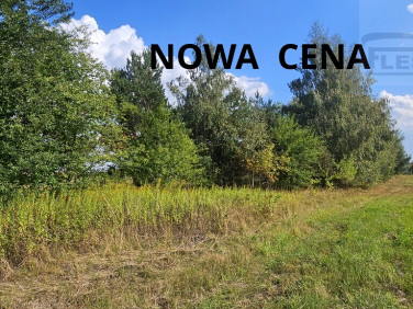 Działka Wola Krakowiańska