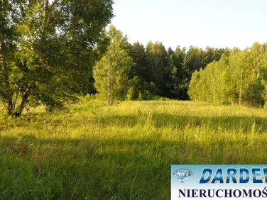 Działka rolna Ciasne
