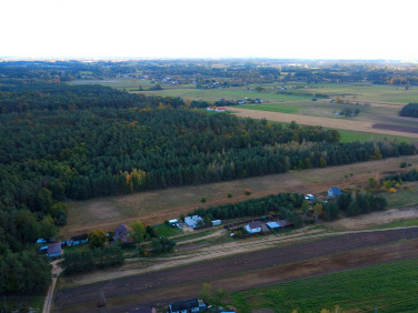 Działka leśna Zakrzewo Kościelne