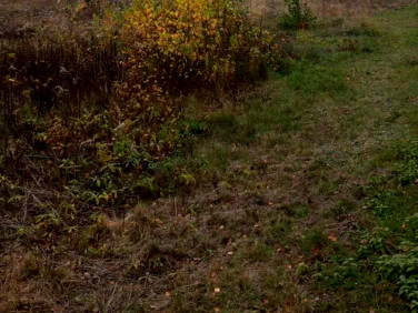 Działka budowlana Makówka