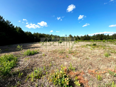 Działka POPIELŻYN-ZAWADY