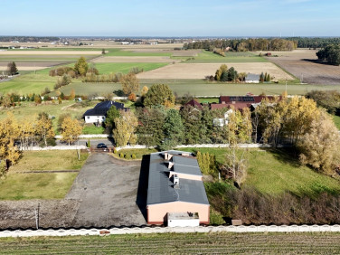 Budynek użytkowy Aleksandrów