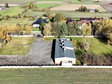 Budynek użytkowy Aleksandrów wynajem