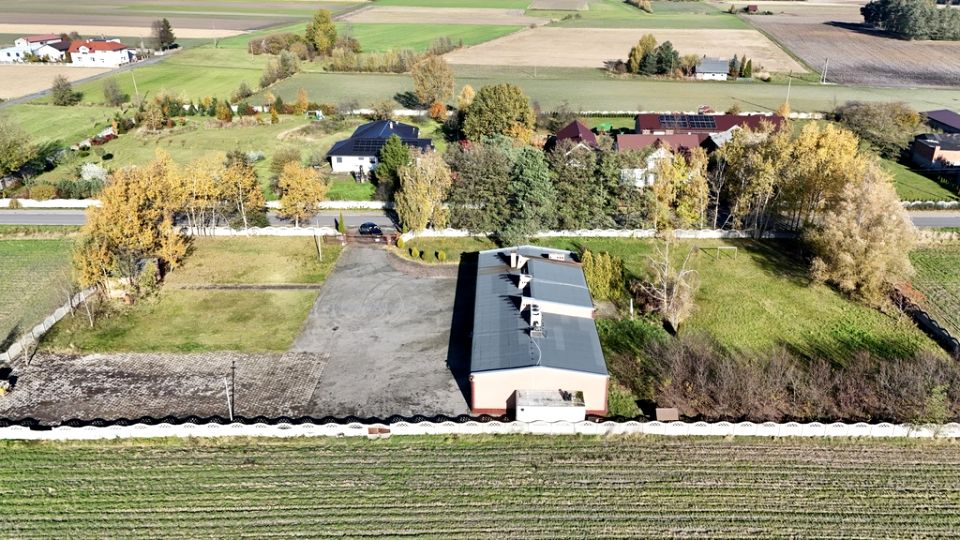 Budynek użytkowy Aleksandrów wynajem