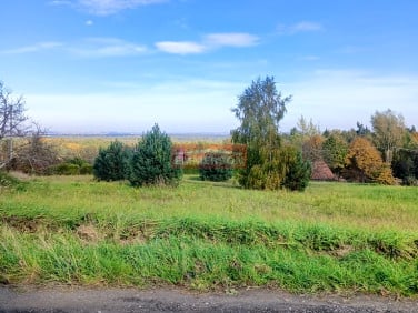 Działka budowlana Dąbrowa