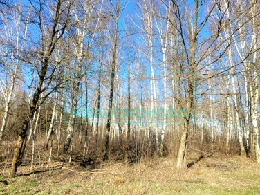 Działka budowlana Grodzisk Mazowiecki