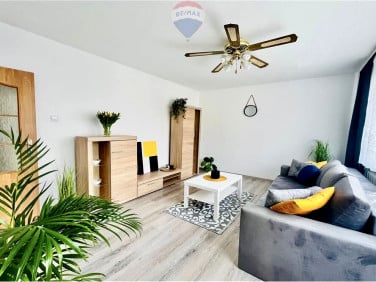 Mieszkanie Zielona Góra