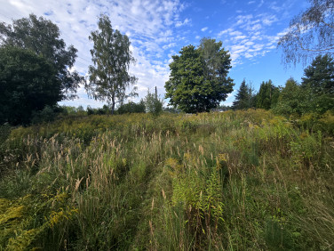 Działka budowlana Jeziorki