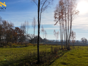 Działka budowlana DAWIDY sprzedam