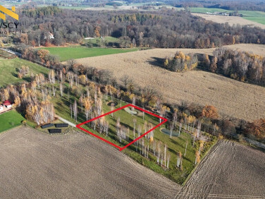 Działka budowlano-rolna Dawidy