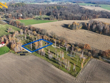 Działka budowlana DAWIDY