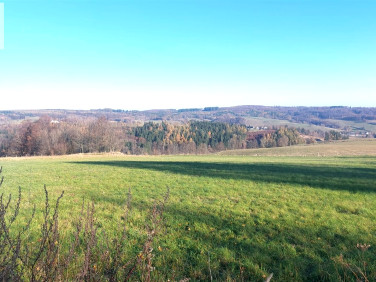 Działka rekreacyjna Niedźwiedzica