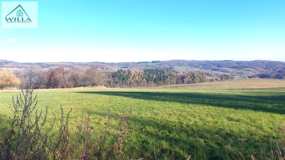 Działka rekreacyjna Niedźwiedzica