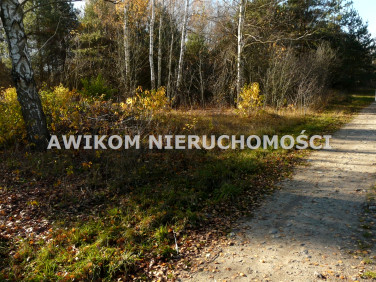 Działka rekreacyjna Budy Zaklasztorne