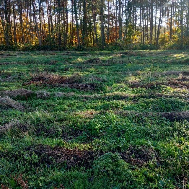 Działka Redliny