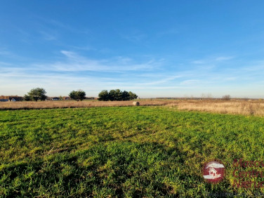 Działka Złotopolice