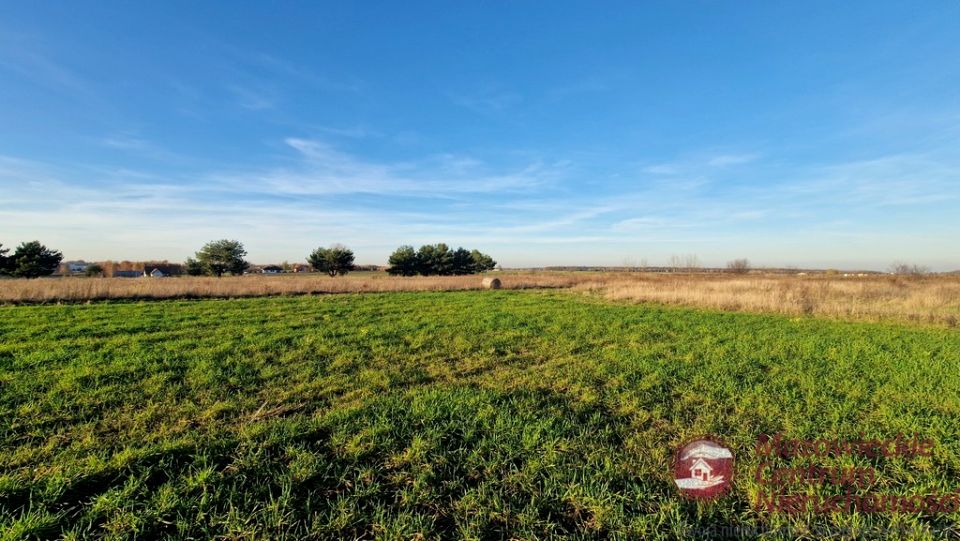 Działka Złotopolice