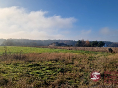 Działka Złotopolice