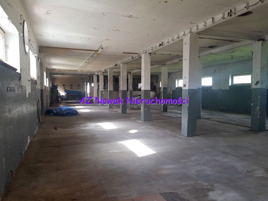 Budynek użytkowy Świdnica wynajem