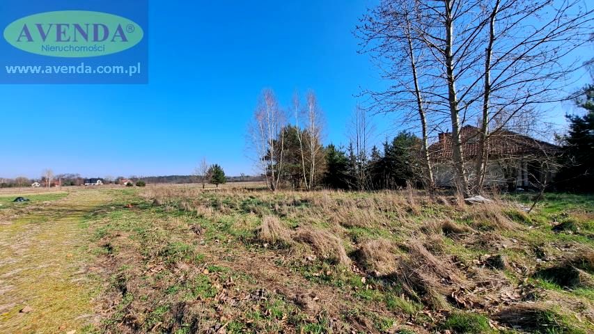 Działka Budy-Grzybek