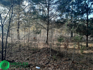 Działka budowlana Osowiec