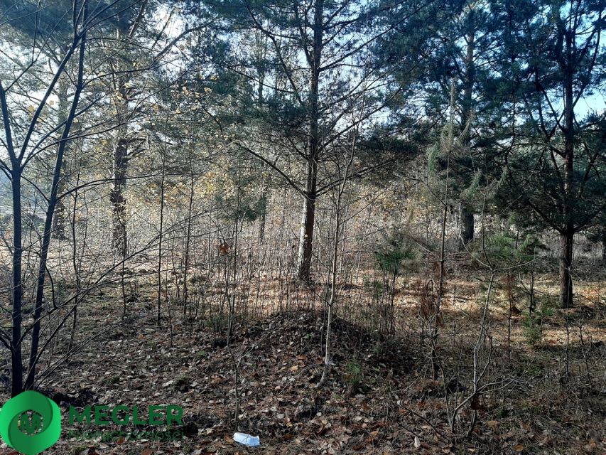 Działka budowlana Osowiec