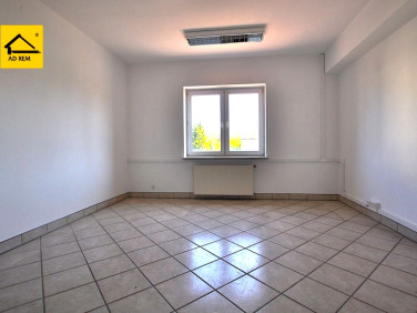 Lokal Zamość wynajem