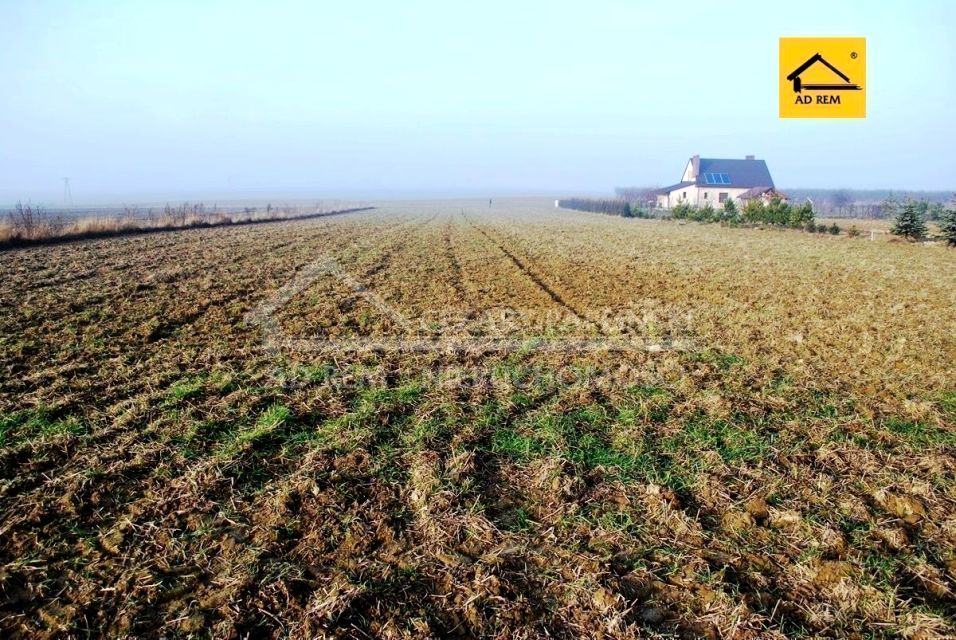 Działka budowlana Dziuchów