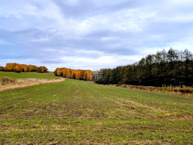 Działka rolna Zawada Uszewska