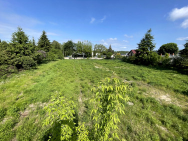 Działka inna Puszczykowo