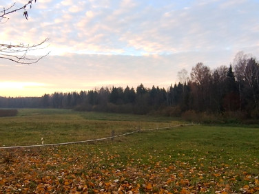 Działka siedliskowa Stryjewo sprzedam